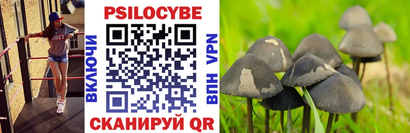 Галлюциногенные грибы Psilocybine cubensis  площадка клад  Лукоянов  ОМГ ОМГ вход 